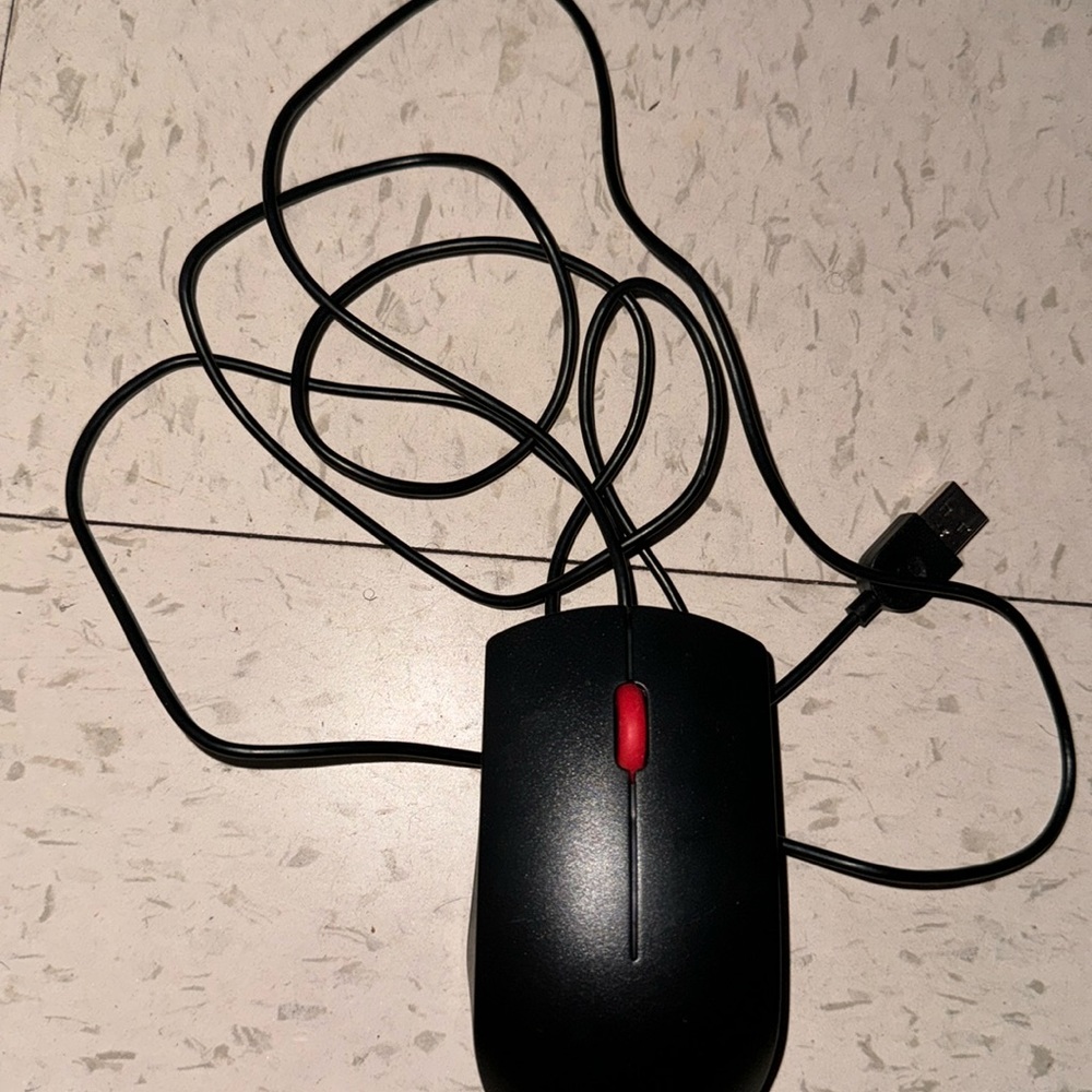 Mouse